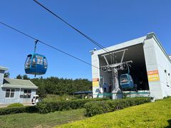 -摩天岭风景区