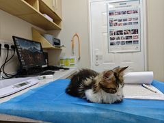 -芭比堂动物医院·CT·微创中心(新顺分院)