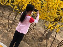 -大兴滨河森林公园