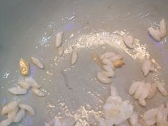 -西北老马食府(陈家营西路店)