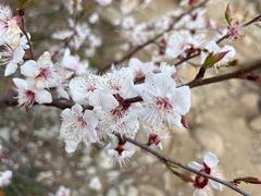 -鹫峰国家森林公园