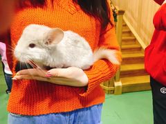 -藦茜花园宠物主题亲子互动体验馆(国顺东路店)