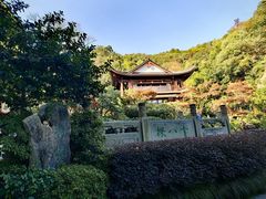 -阿巧茶庄