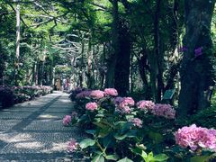 -广西壮族自治区药用植物园