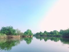 -会仙湿地