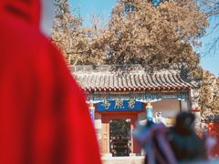 -普照寺