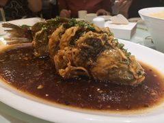 -金春禧(英雄山路旗舰店)