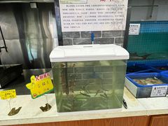 -赵记煎饼卷大葱(泰山大街店)