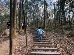 -紫金山山顶公园