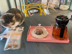 -喵屿·大理花园猫咖