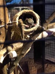 -酷嗒动物文化乐园(cutezoo西溪乐天城店)