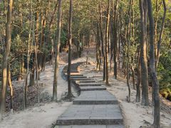 -火炉山森林公园