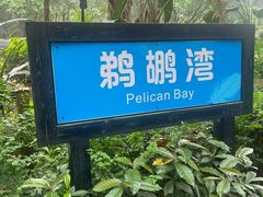 -广州长隆飞鸟乐园