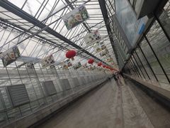 -长春农博园