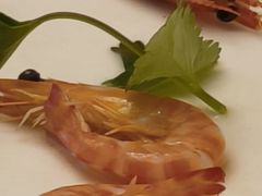 白灼中九节虾-荣誉大酒店·荣誉海鲜酒楼(晋江电力店)