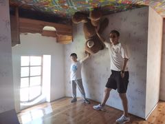 -金山农民画村-枫泾波兰倒置屋