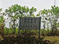 -广东花都湖国家湿地公园