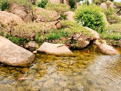 -罗红摄影艺术馆