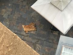 -看见远方·莫干遥远的山民宿