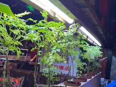 -望京一号·重庆江湖菜(工体店)