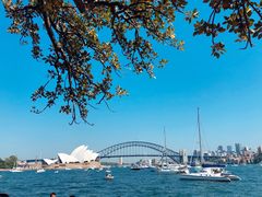 -麦考利夫人座椅