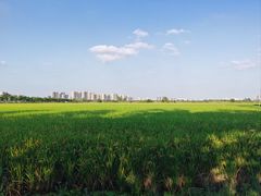 -嘉北郊野公园