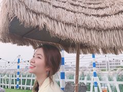 -Blue Concept Cafe&Farm·關於藍