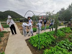 -宁波九龙湖开元度假村