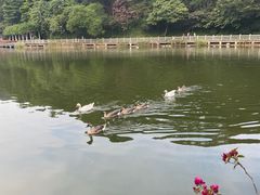 -广州市帽峰山景区