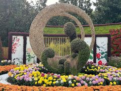 -上海共青森林公园