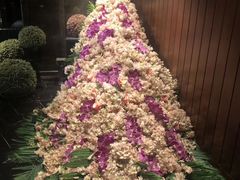 -半岛翡丽海鲜自助餐厅(观风亭店)
