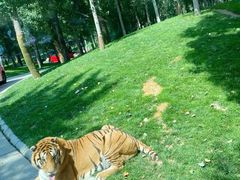 -北京野生动物园