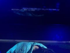 -魅KTV·AI辅唱(人民广场旗舰店)