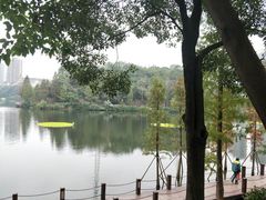 -重庆彩云湖湿地公园