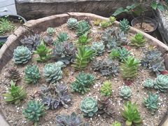 -瓦库茶馆17号(海汇港店)