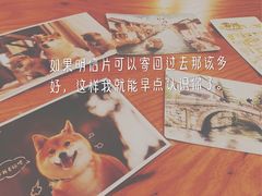 -猫的天空之城概念书店(苏州诚品店)