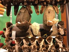 -宜家家居(四元桥商场店)