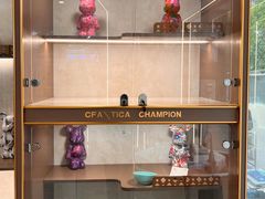 -翊宠yipet猫狗购宠庄园犬舍•猫舍