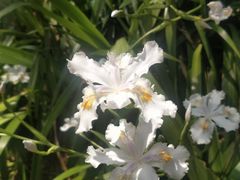 -渤公岛生态公园