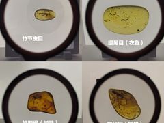 -广东省博物馆