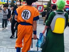 -Animate(秋叶原本馆)