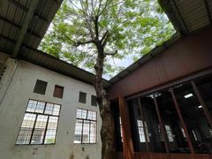 -来回·咖啡(钟村咖啡豆店)
