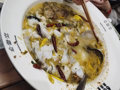 -渔语鱼新川菜Bistro(万象天地店)
