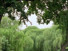 -百脉泉景区