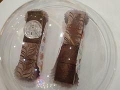 -滚猫咖啡·猫咖·猫友好撸猫(未来城店)