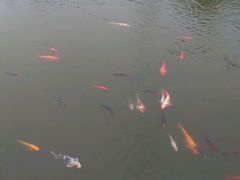 -渔堂公园餐厅·本帮菜(乐园路店)