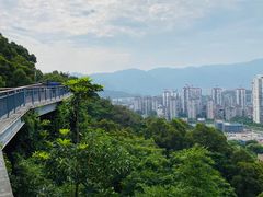-金鸡山公园