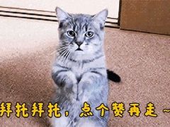 -翠亭酒家(山西南路店)