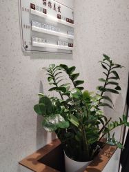 -LJOY丽锦造型·烫发染发