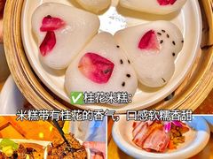 -巷里老院花园餐厅